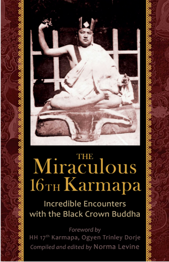 16th Karmapa Incredible Encounters with Black Crown (PDF)