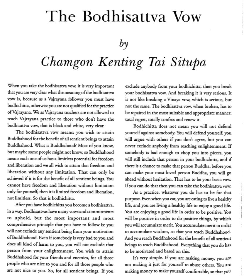 The Bodhisattva Vow PDF (Buddhist Practices)