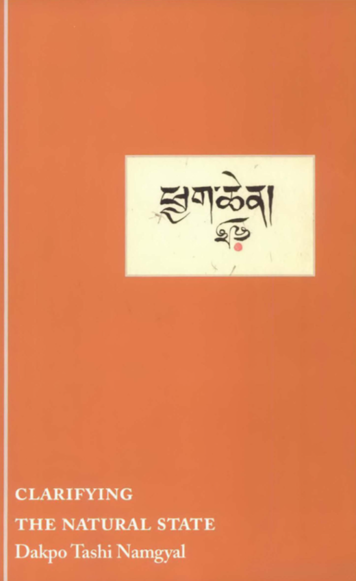 Clarifying the Natural State (PDF)