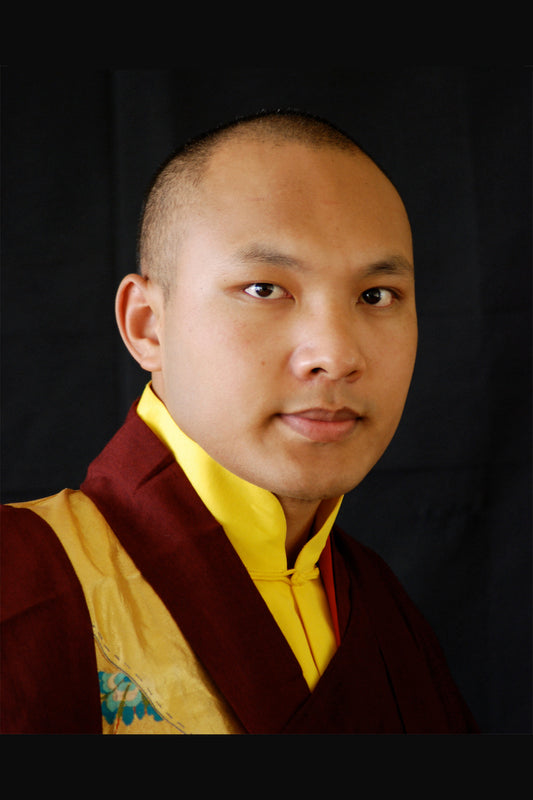 The 17th Karmapa (Free picture download)