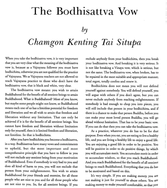The Bodhisattva Vow PDF (Buddhist Practices)