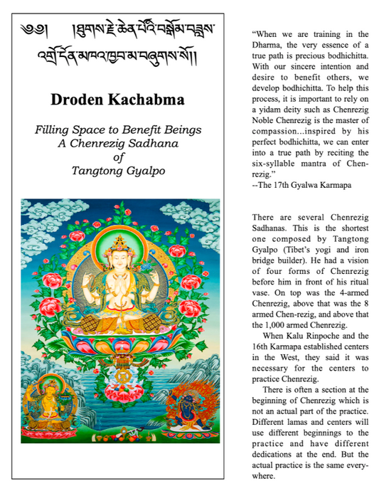 Chenrezig with Guidance (Buddhist Practice)