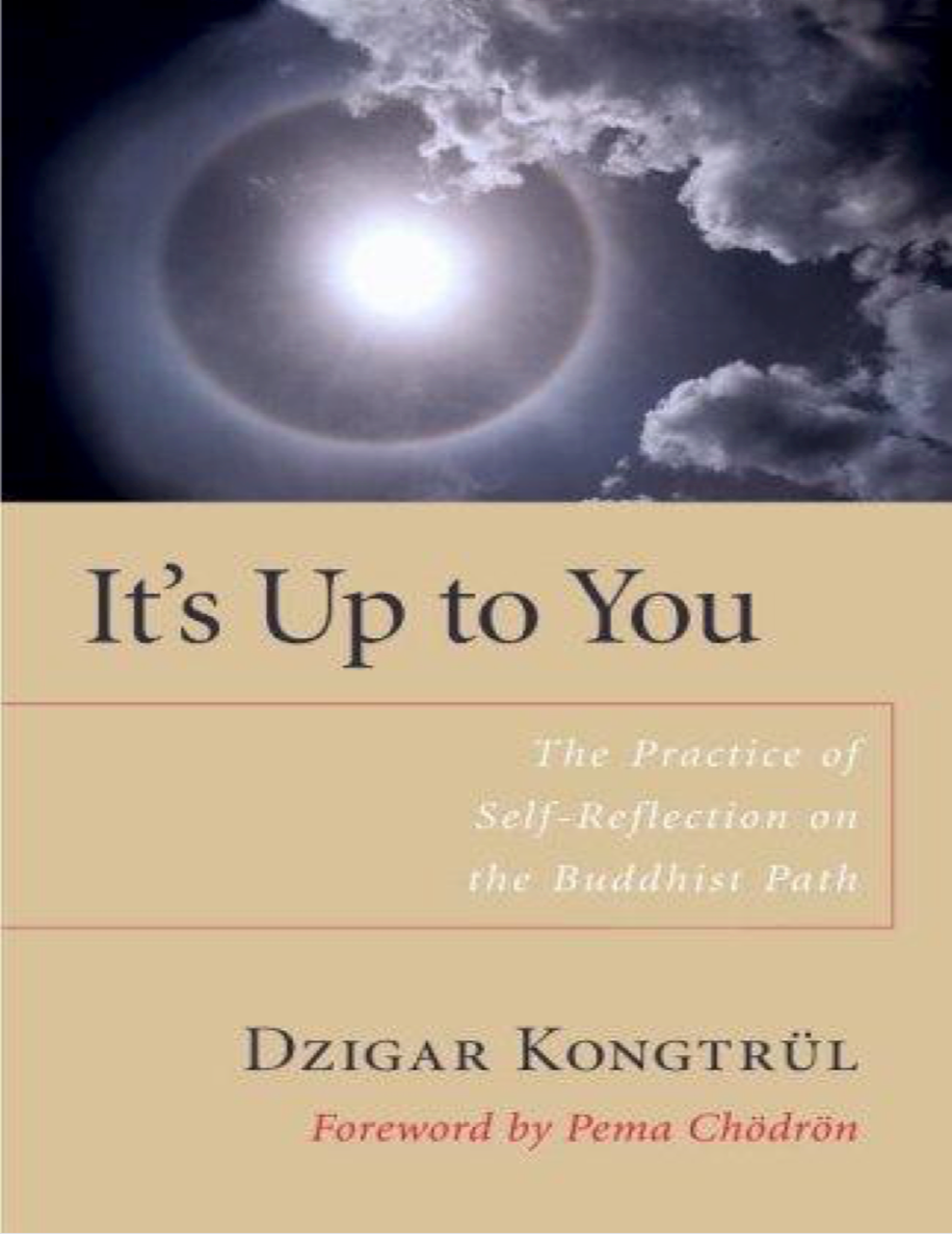 Dzigar Kongtrul It is Up to You (PDF)