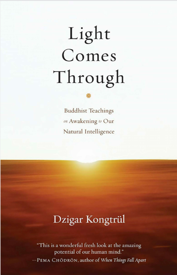 Dzigar Kongtrul Light Comes Through (PDF)