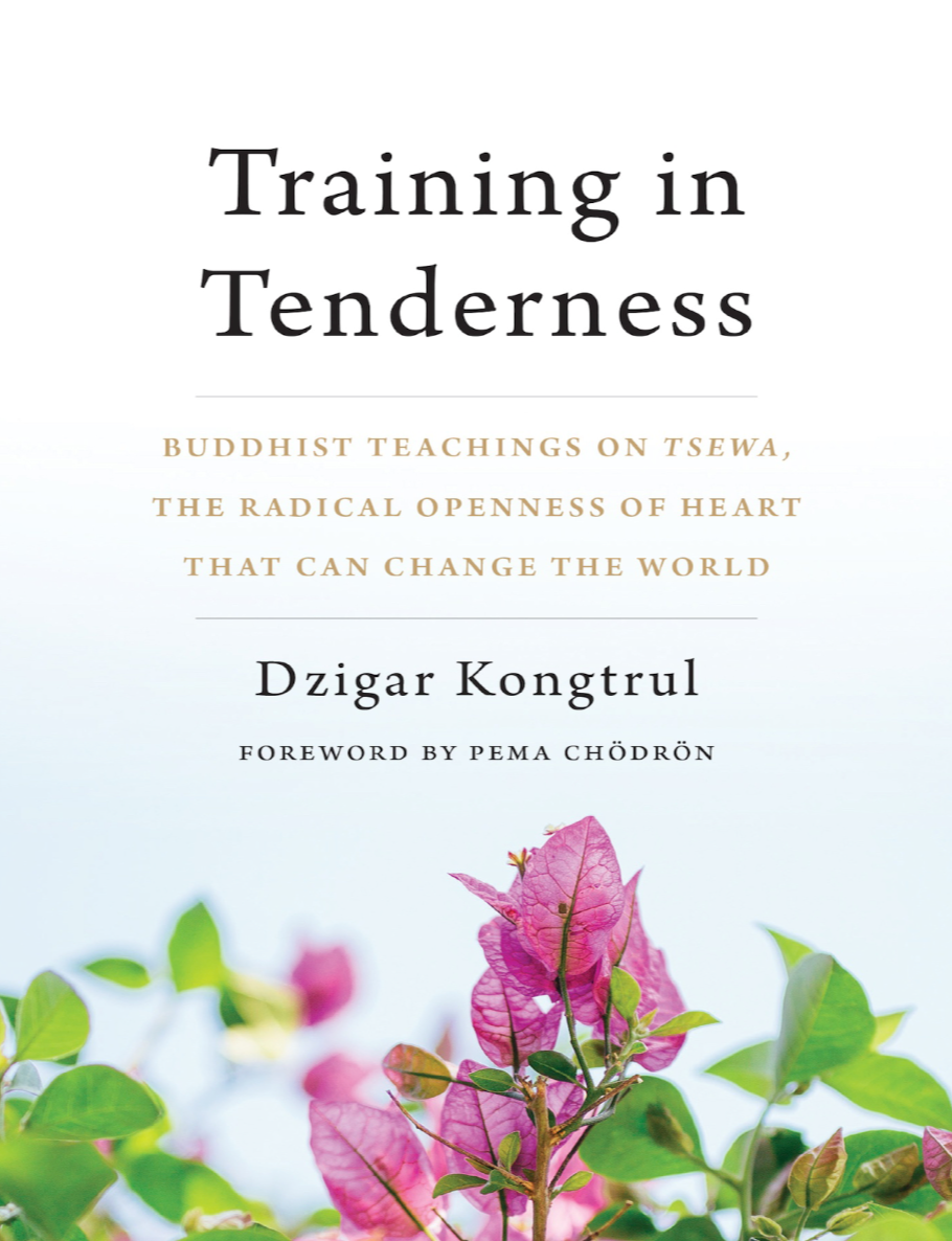 Dzigar Kongtrul Training in Tenderness (PDF)