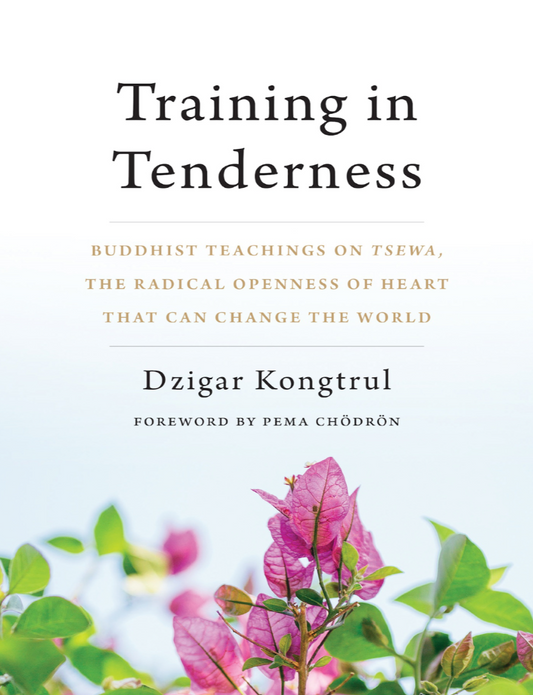 Dzigar Kongtrul Training in Tenderness (PDF)