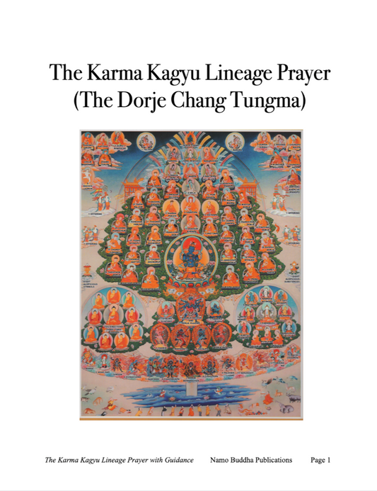 Namkhai Norbu Rainbow body of Ugyen Tendzin (PDF)