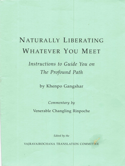 Changling Rinpoche Naturally Liberating Whatever You Meet (PDF)