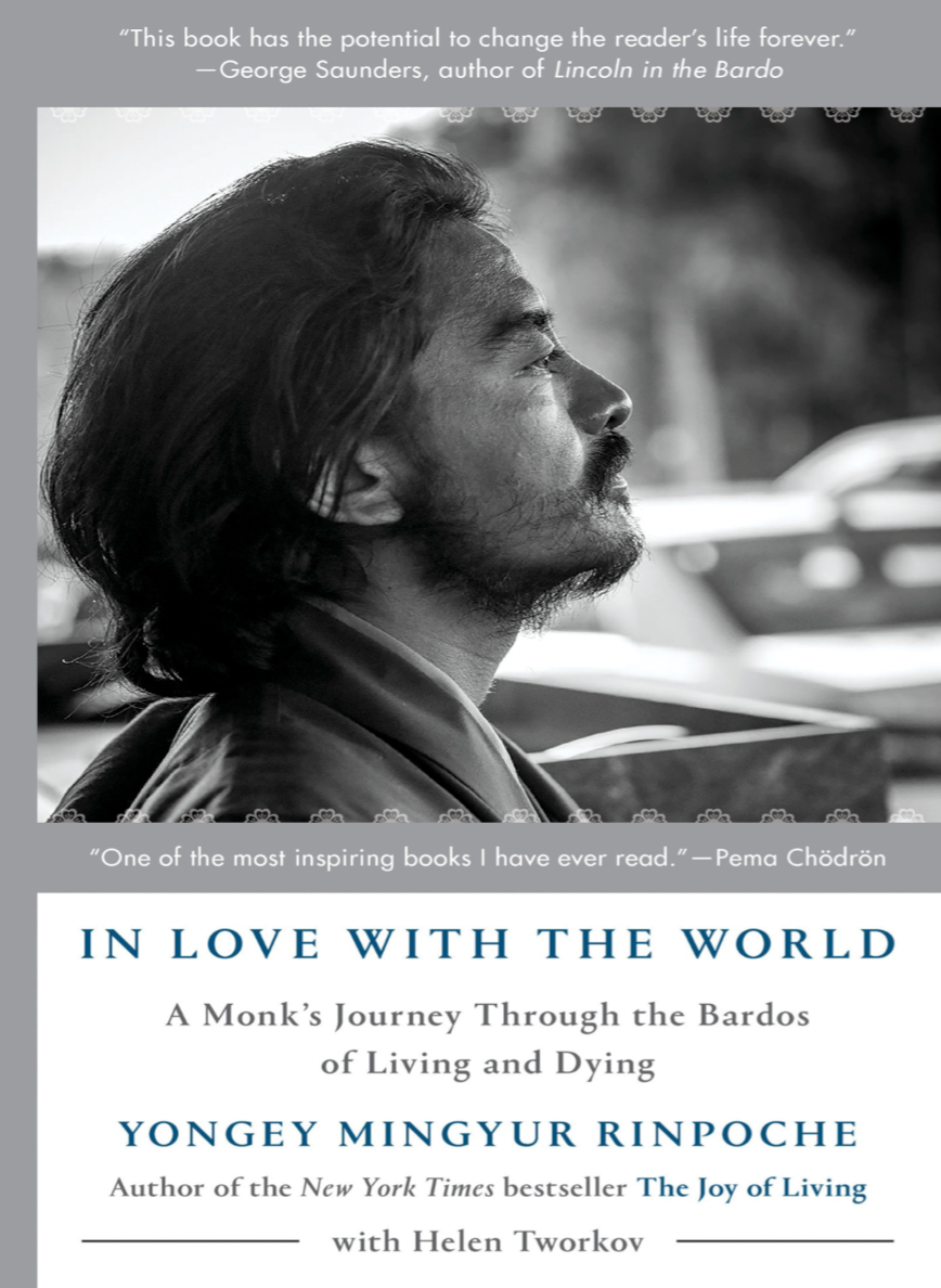 Mingyur Rinpoche In Love with the World (PDF)