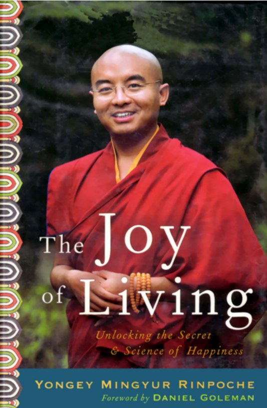 Mingyur Rinpoche Joy of Living  (PDF)