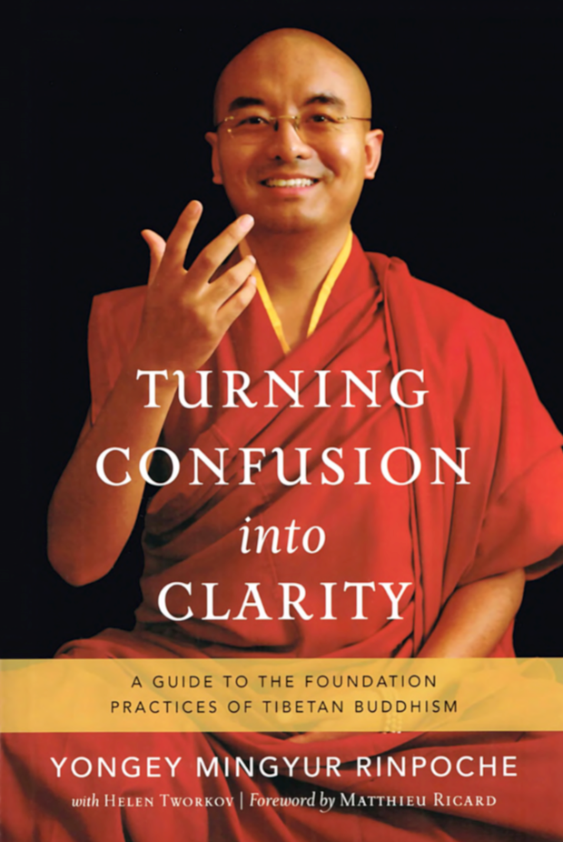 Mingyur Rinpoche Turning Confusion Into Clarity (PDF)