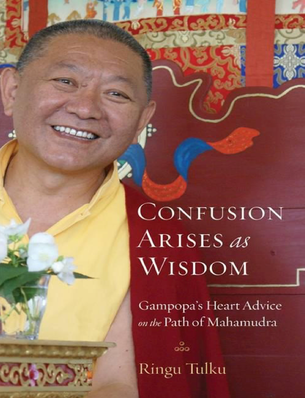 Ringu Tulku Confusion Arises as Wisdom (PDF)