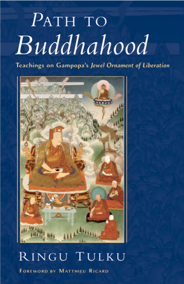 Ringu Tulku Path To Buddhahood Gampopa's Jewel Ornament (PDF)