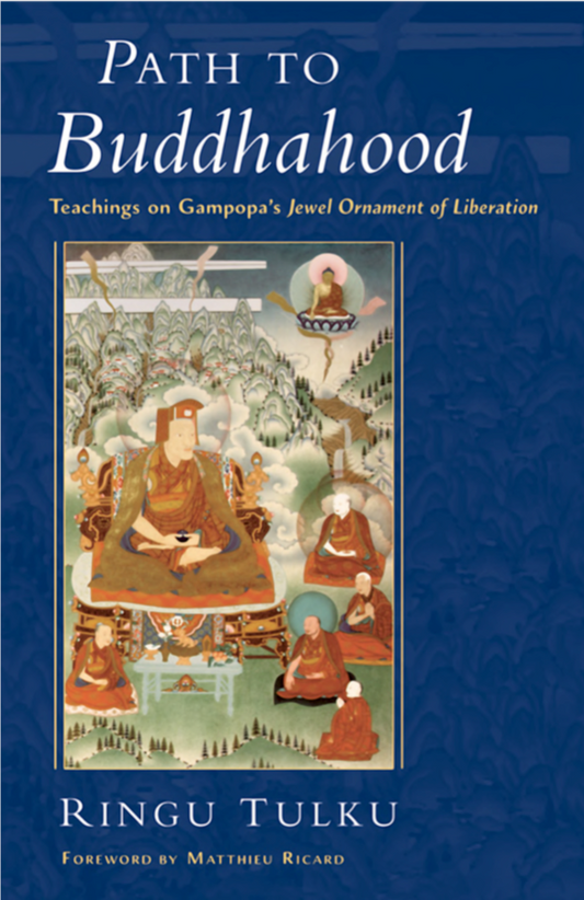 Ringu Tulku Path To Buddhahood Gampopa's Jewel Ornament (PDF)