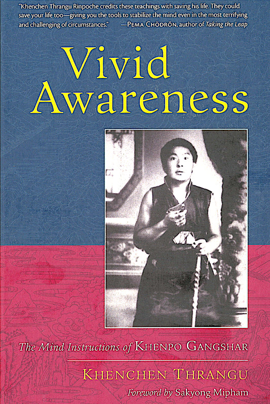 Vivid Awareness