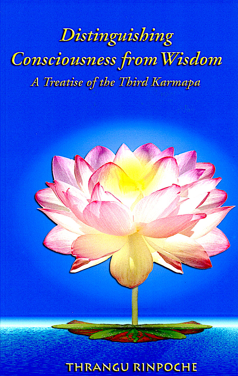 Distinguishing Consciousness from Wisdom (book)