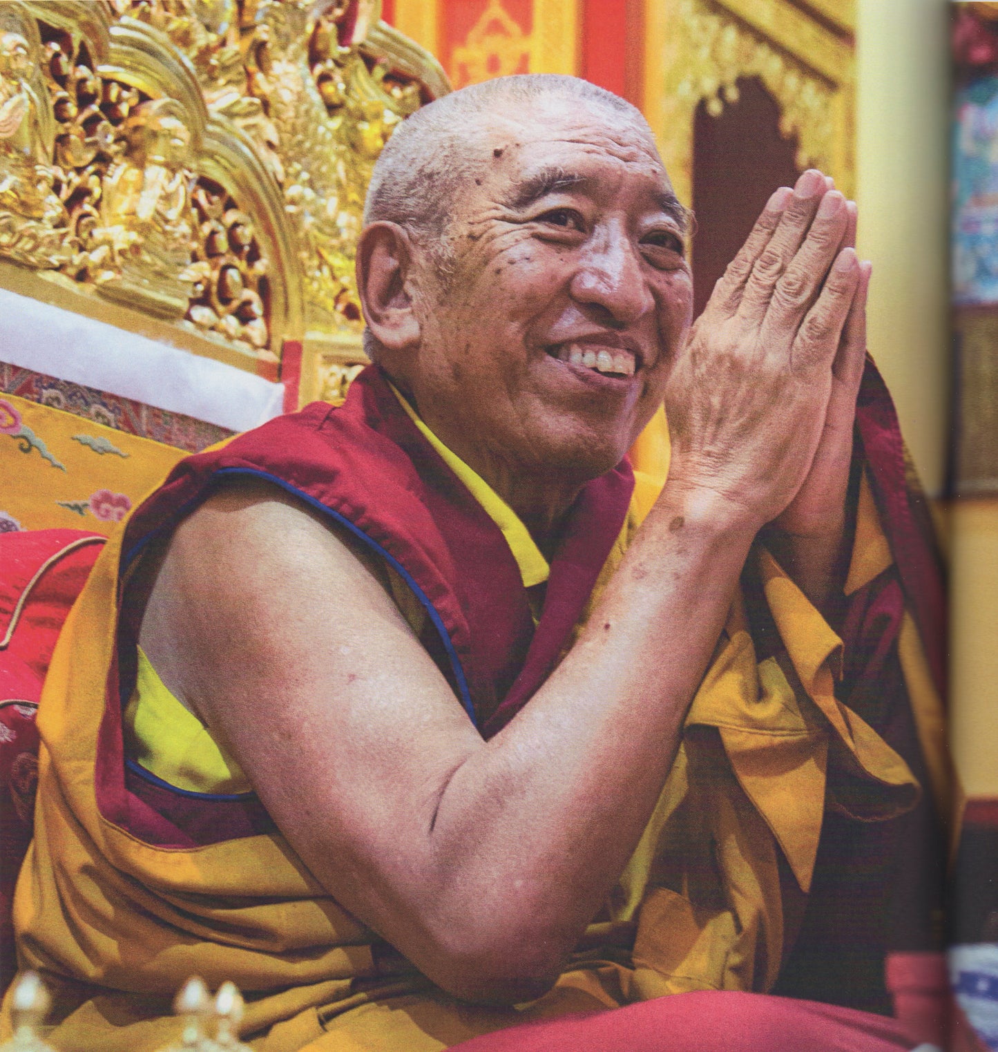 1. 60 PDFs of Thrangu Rinpoche's books (PDF)