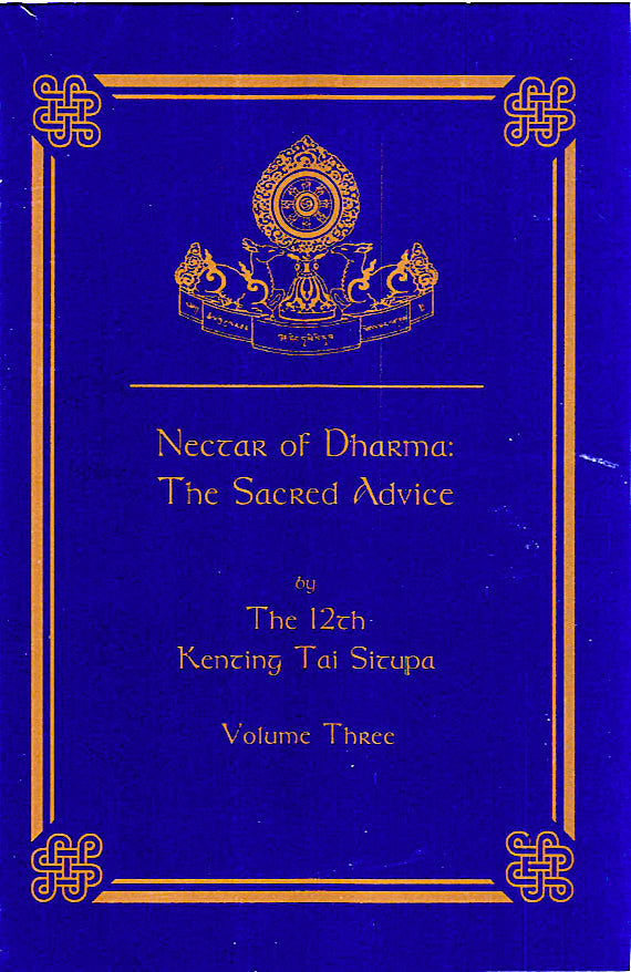 Tai Situ Treasury of Knowledge Vol 3 (PDF)